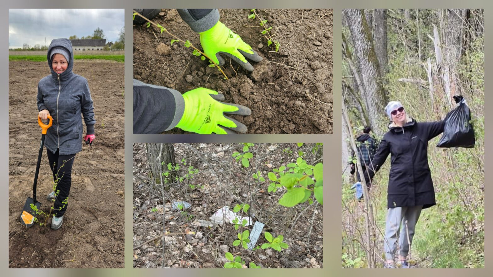 The Big Cleanup 2025