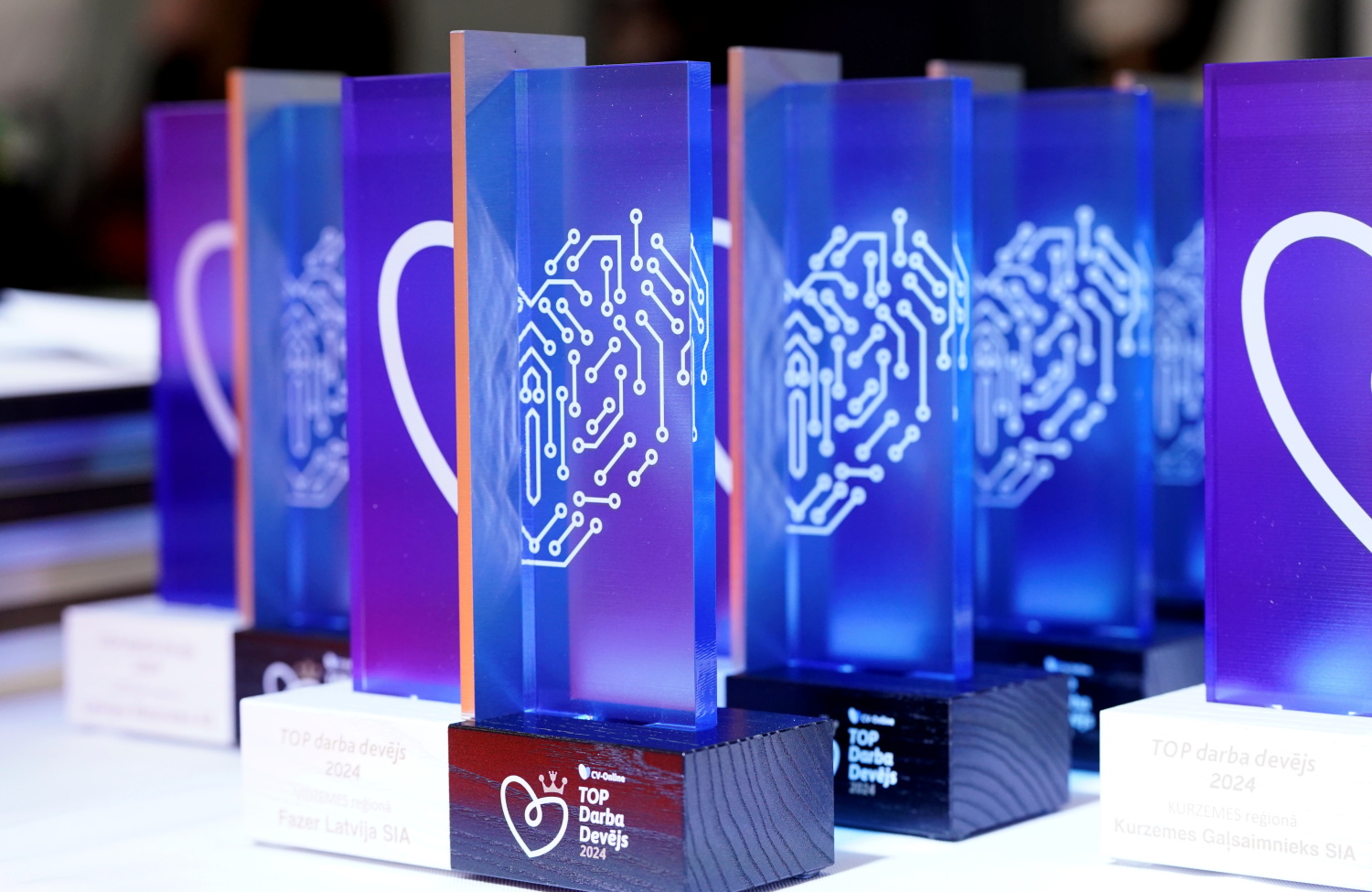 Top Employer in the Zemgale Region